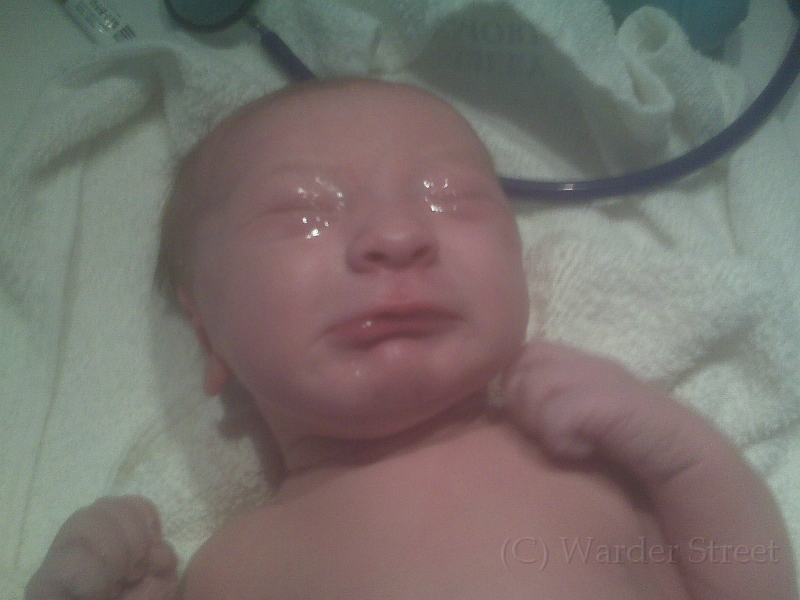 William's Birth 03.jpg